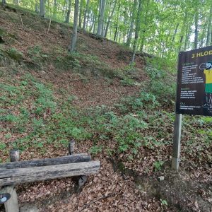 IMG_20250807_204500